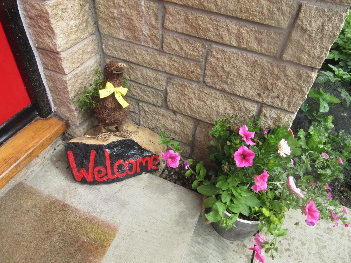 Homely Haven, Dunfermline Ngoại thất bức ảnh